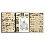 Nine framed cigarette cards of various subjects