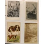 A collection of over 130 postcards of deer