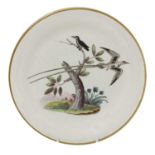 A set of seven Davenport ornithological specimen plates,