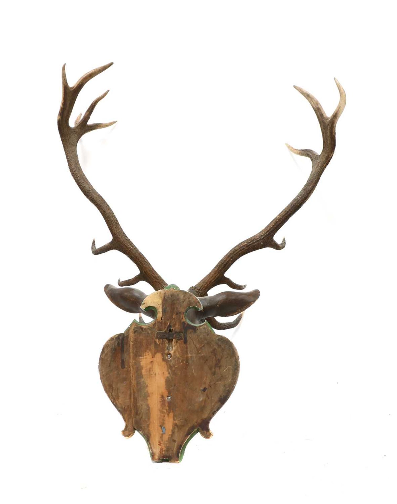 A carved and polychrome painted wooden stag head, - Image 3 of 3