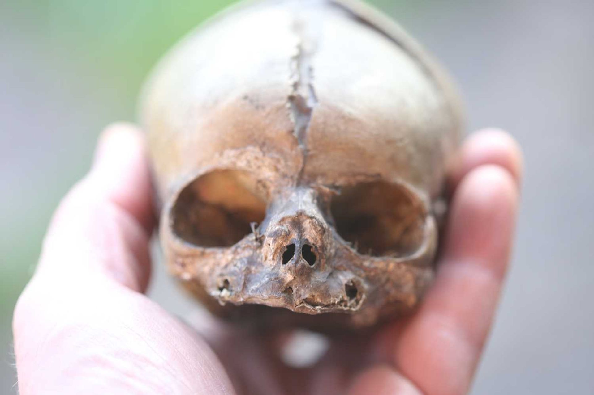 BABY'S SKULL, - Image 4 of 8