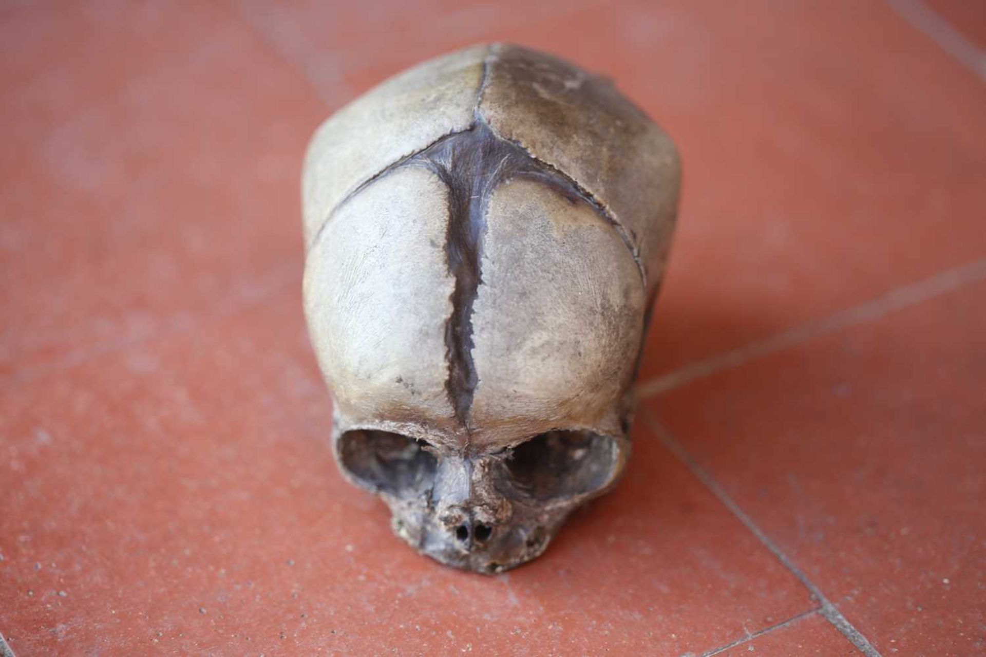 BABY'S SKULL, - Image 6 of 8