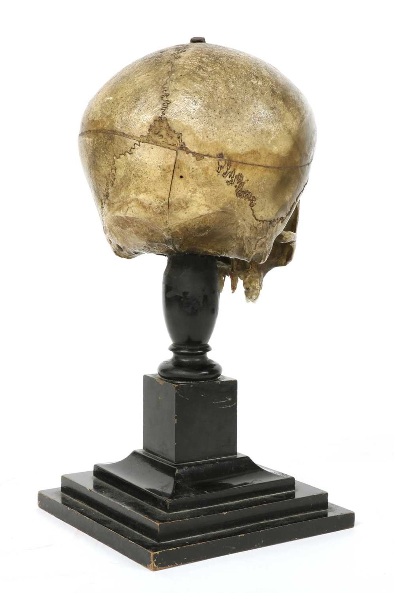 CARVED SKULL, - Image 2 of 4