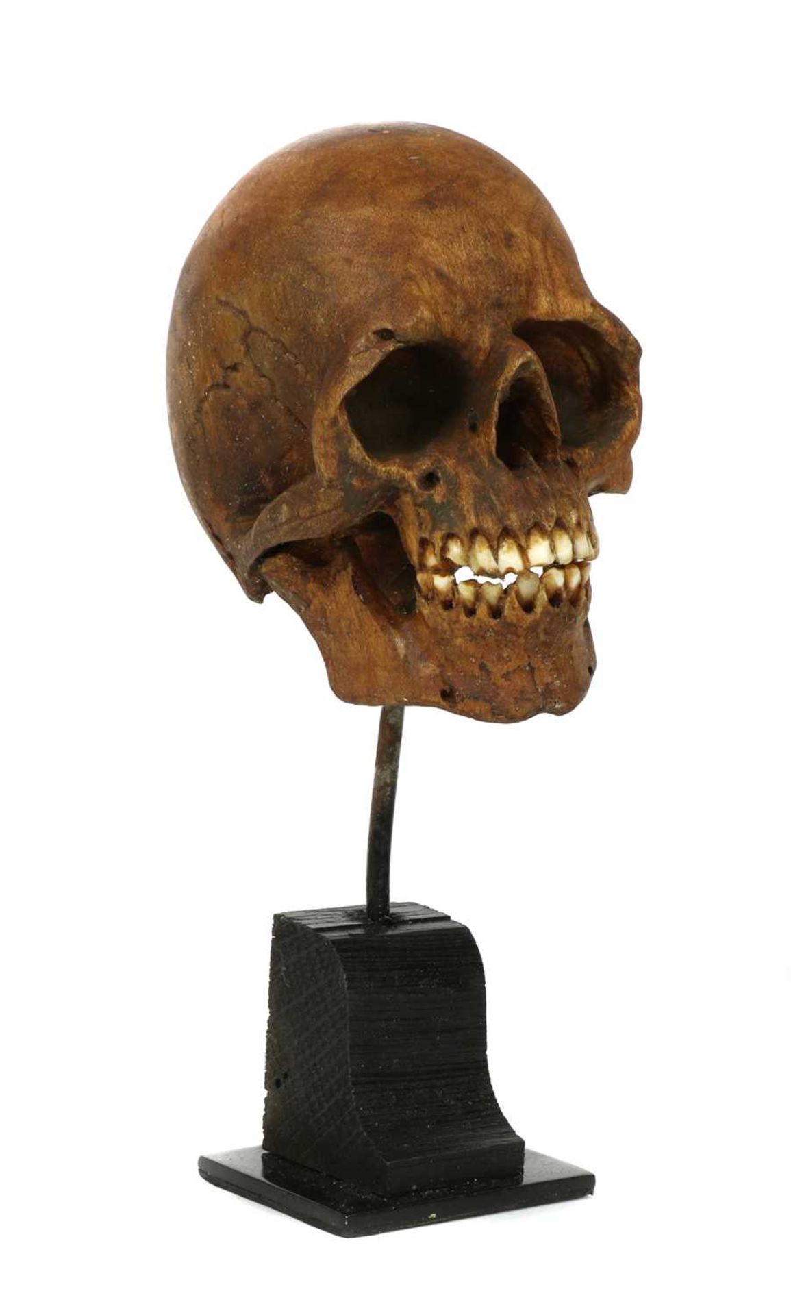 SOFTWOOD SKULL, - Image 2 of 4