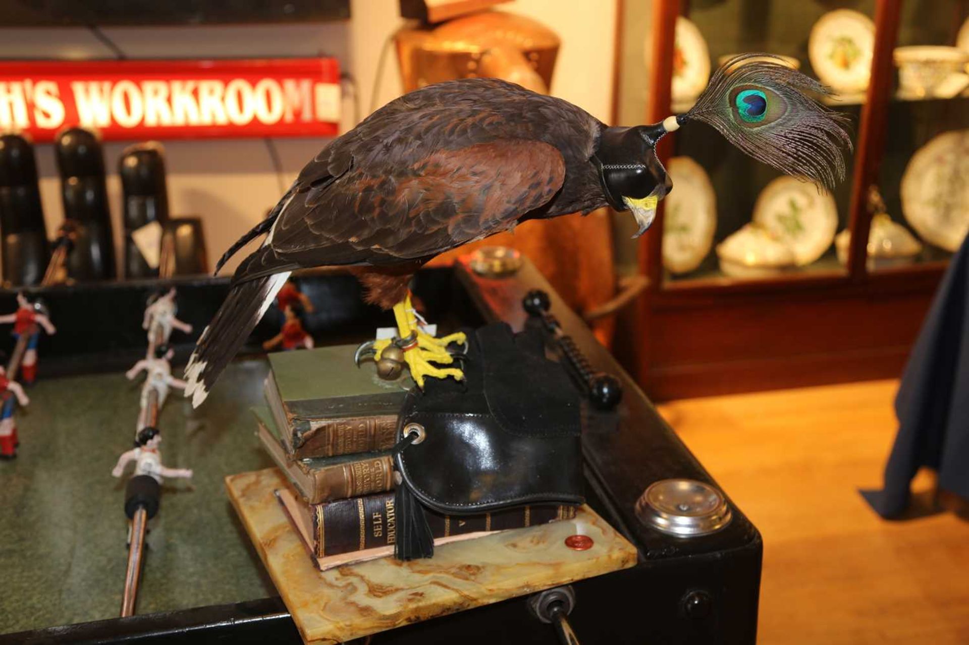 HARRIS HAWK, - Image 4 of 8