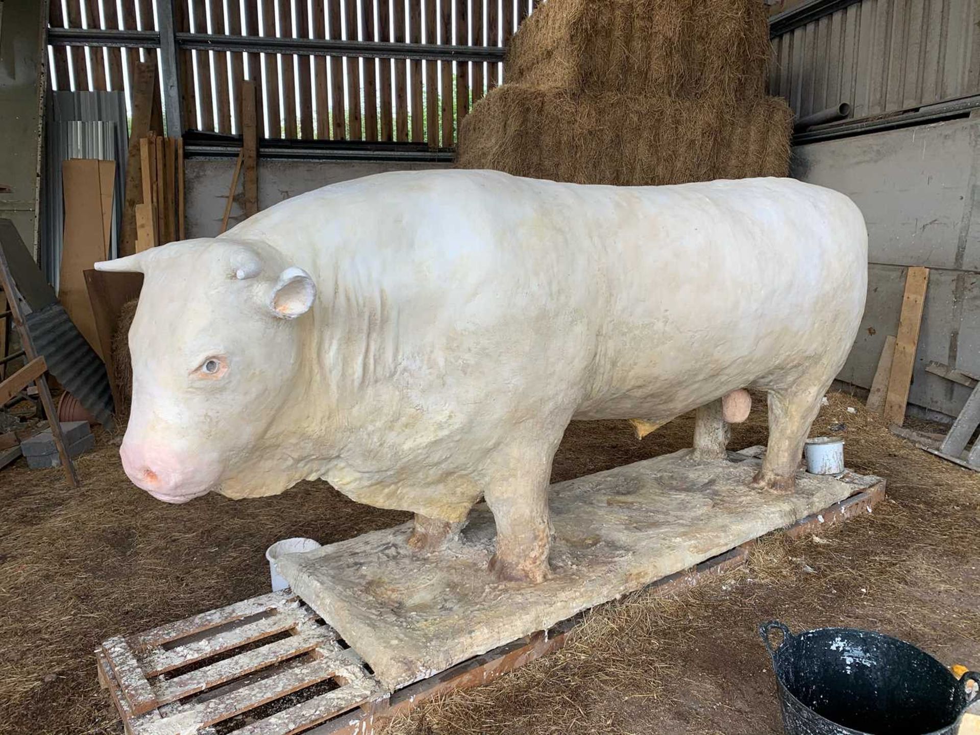 CATTLE MARKET BULL,