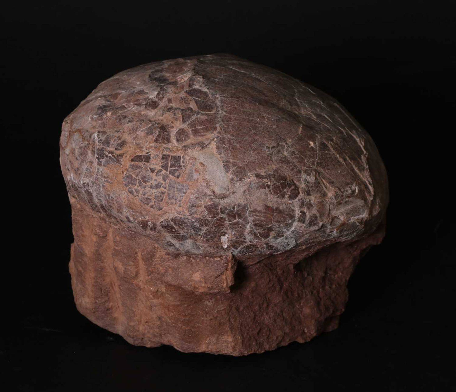 FOSSILISED DINOSAUR EGG, - Image 2 of 3