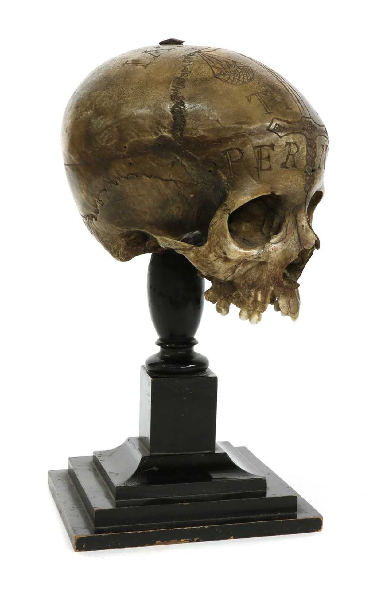 CARVED SKULL, - Image 3 of 4