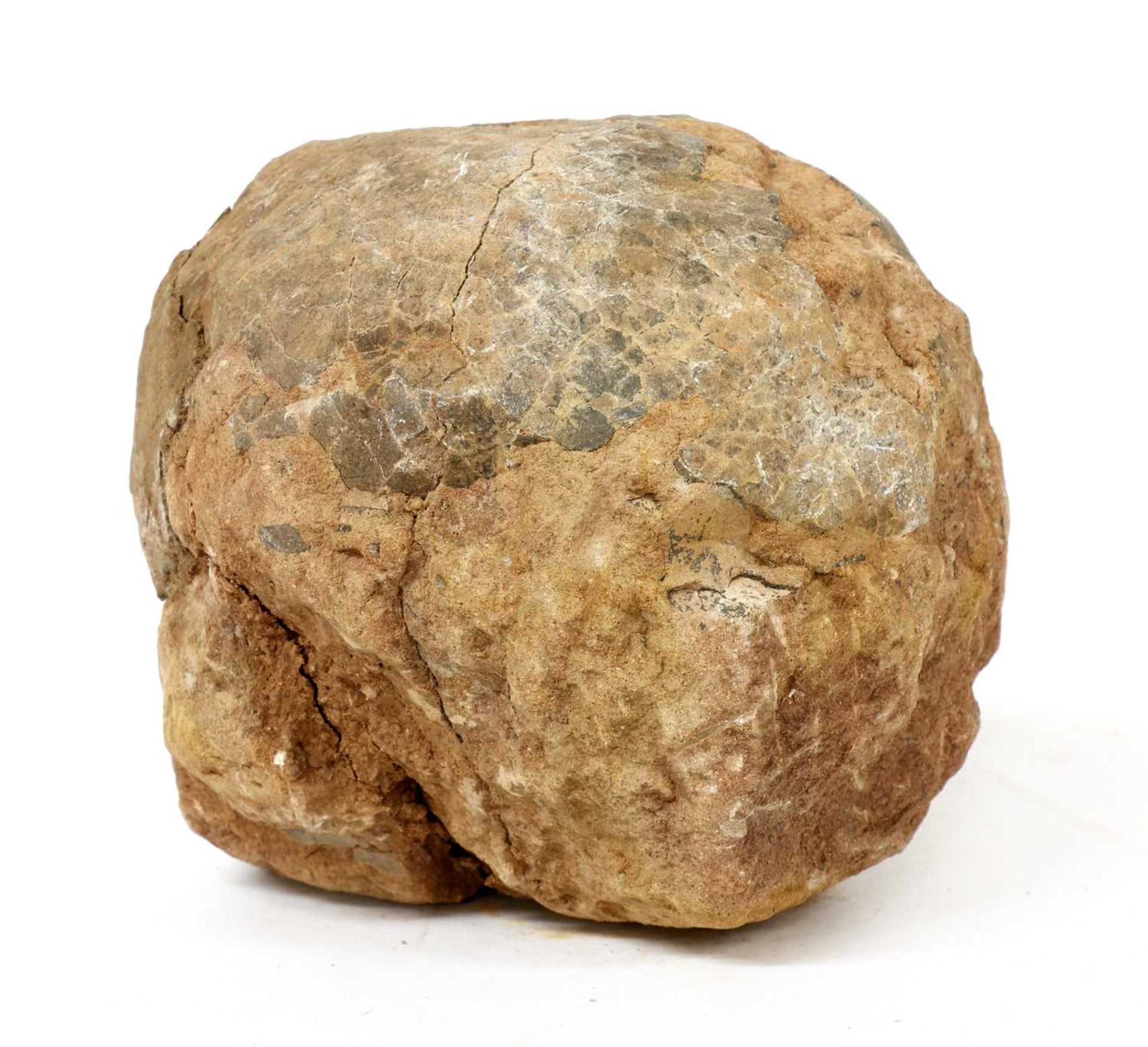 FOSSILISED DINOSAUR EGG,