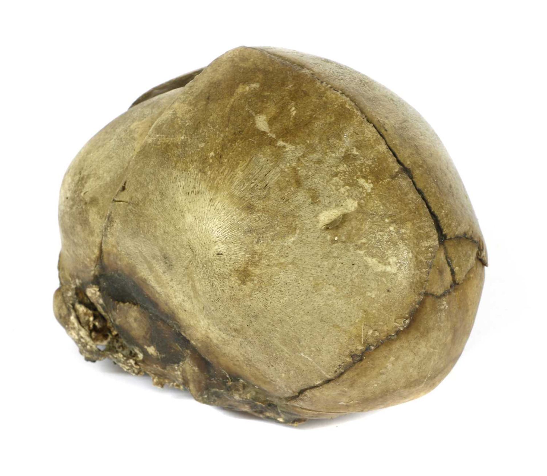 BABY'S SKULL, - Image 2 of 8