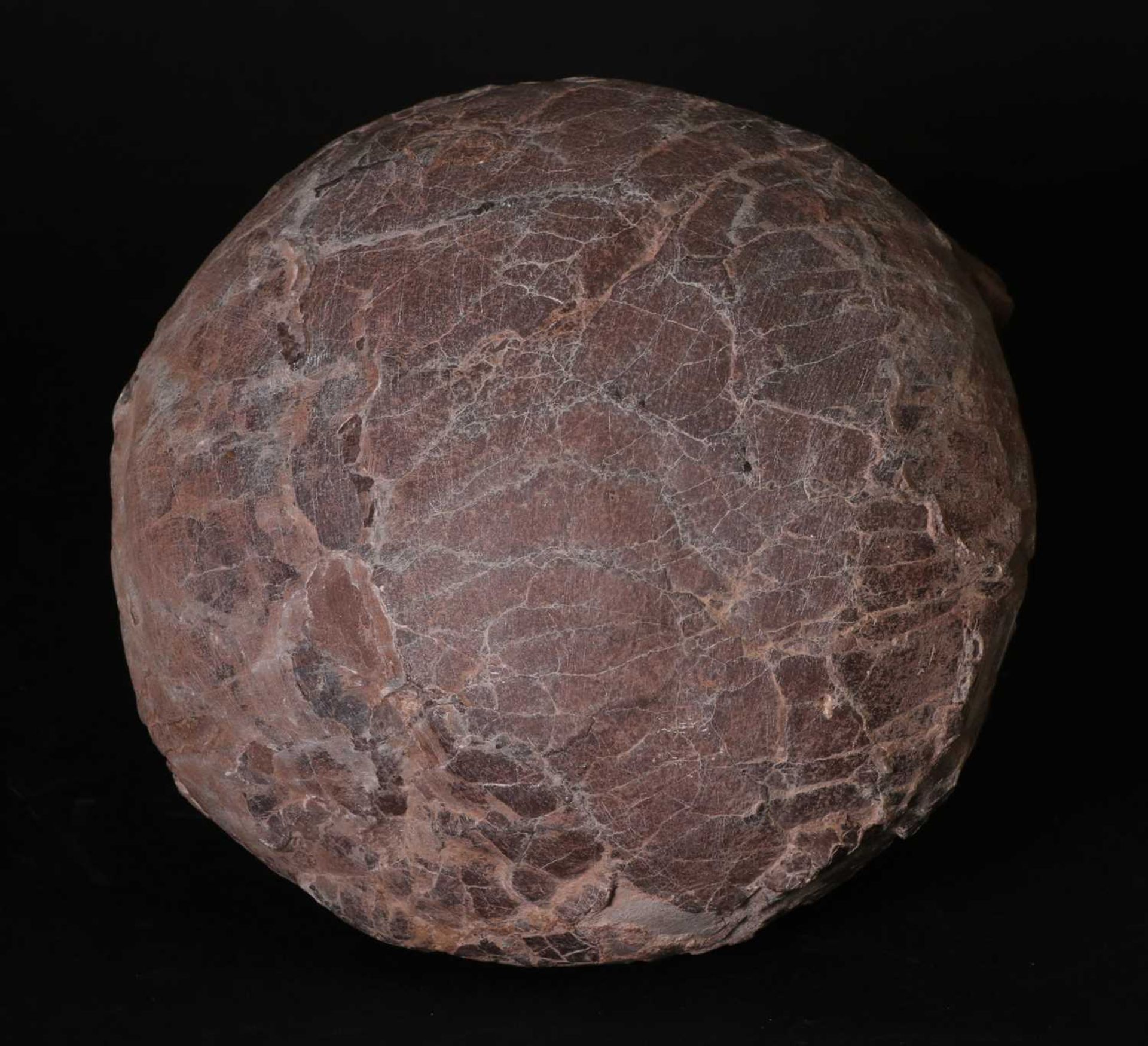 FOSSILISED DINOSAUR EGG,