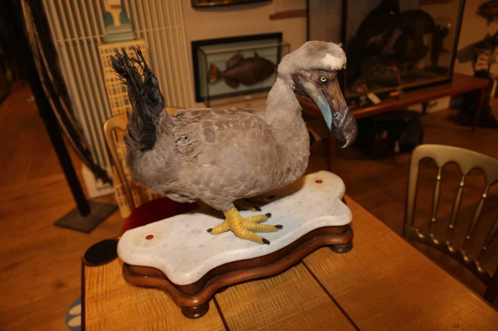 THE DODO, - Image 3 of 7