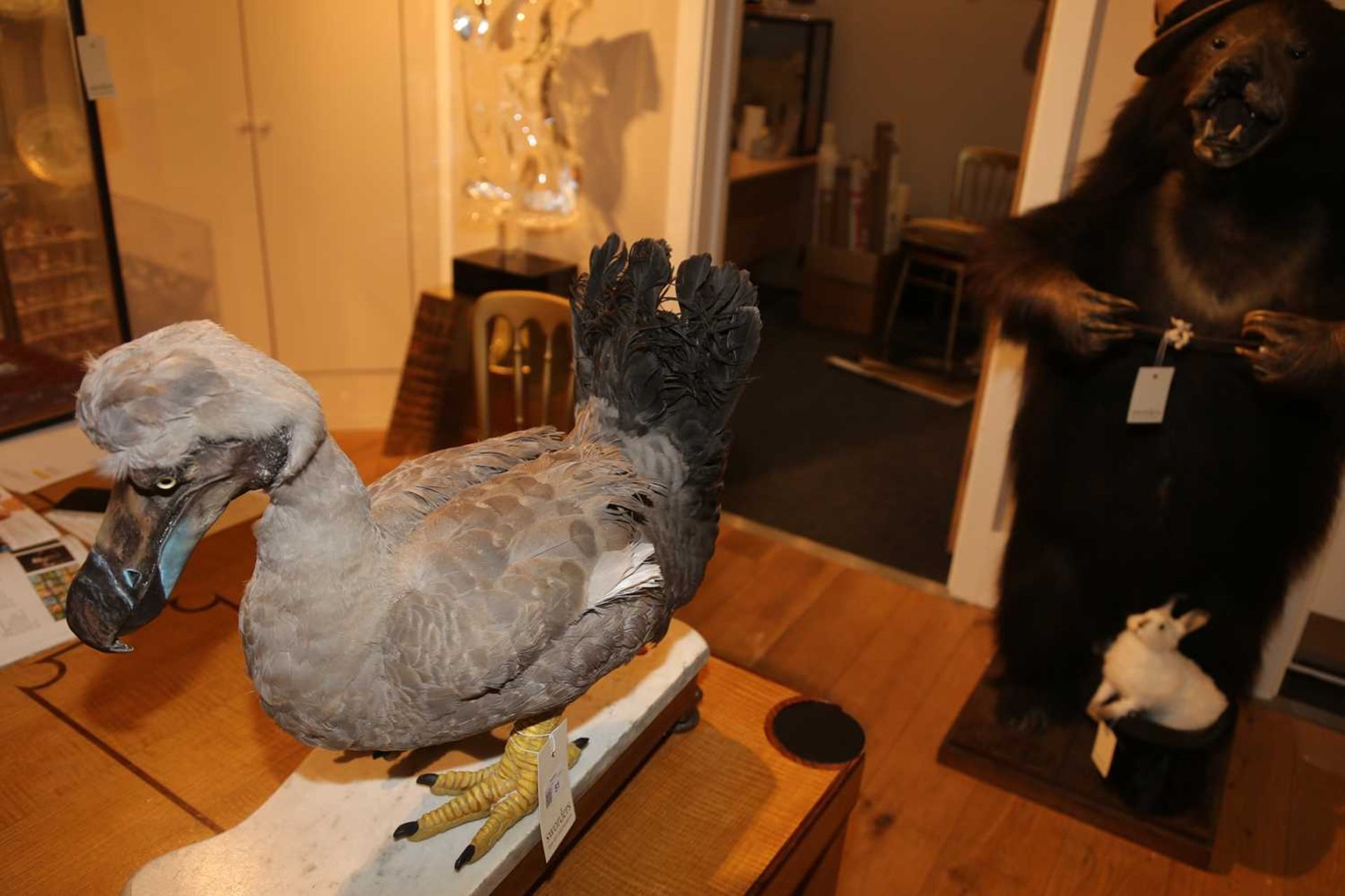 THE DODO, - Image 5 of 7