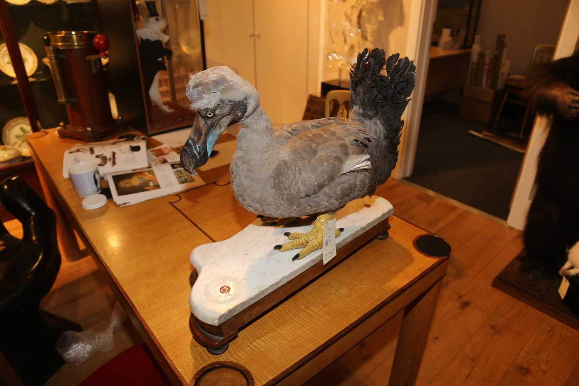 THE DODO, - Image 6 of 7