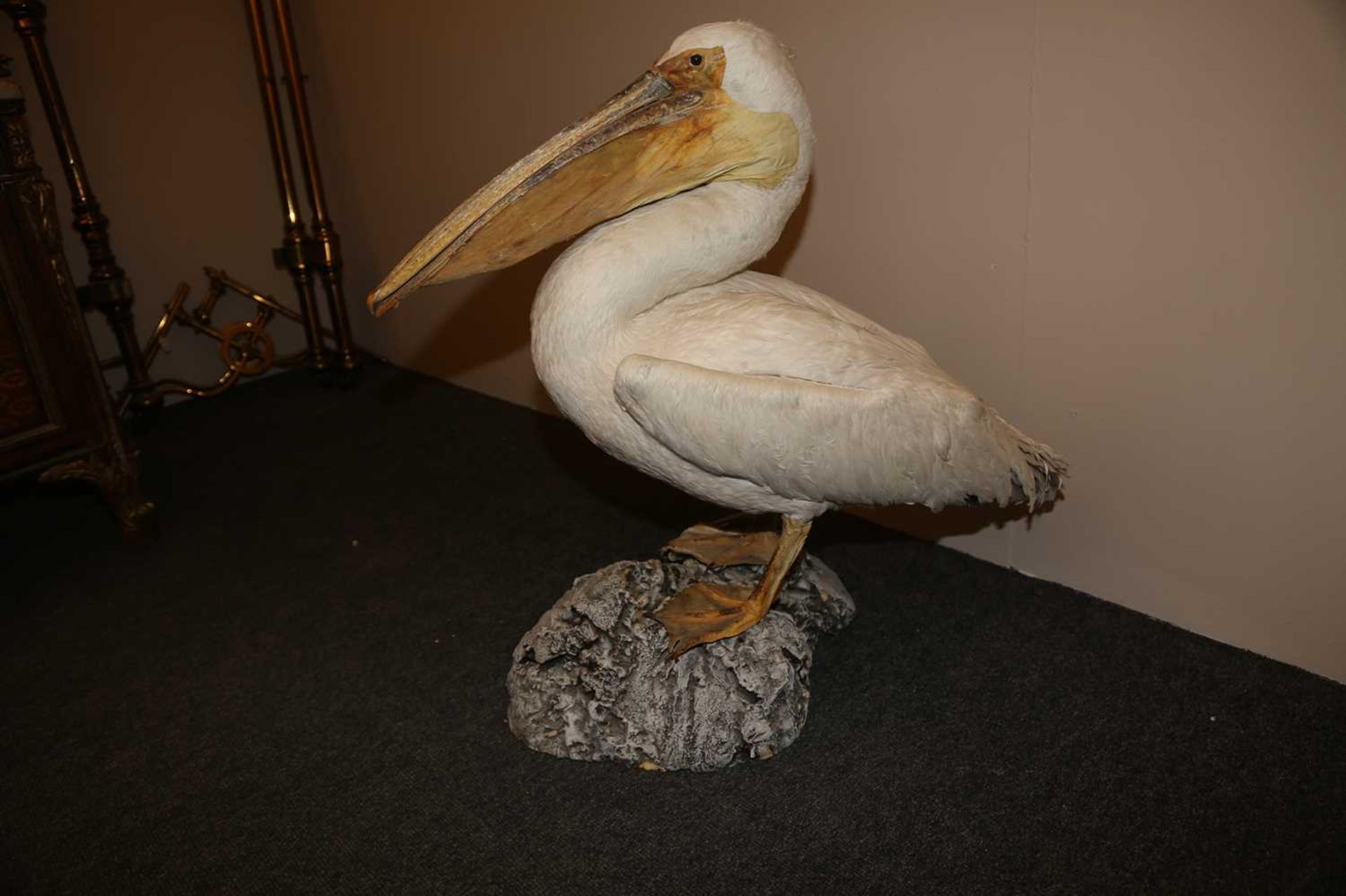 PELICAN, - Image 3 of 6