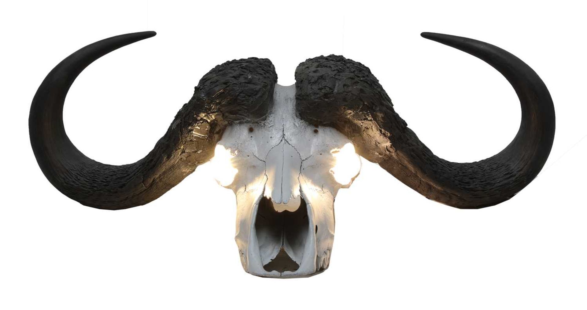 BUFFALO SKULL,