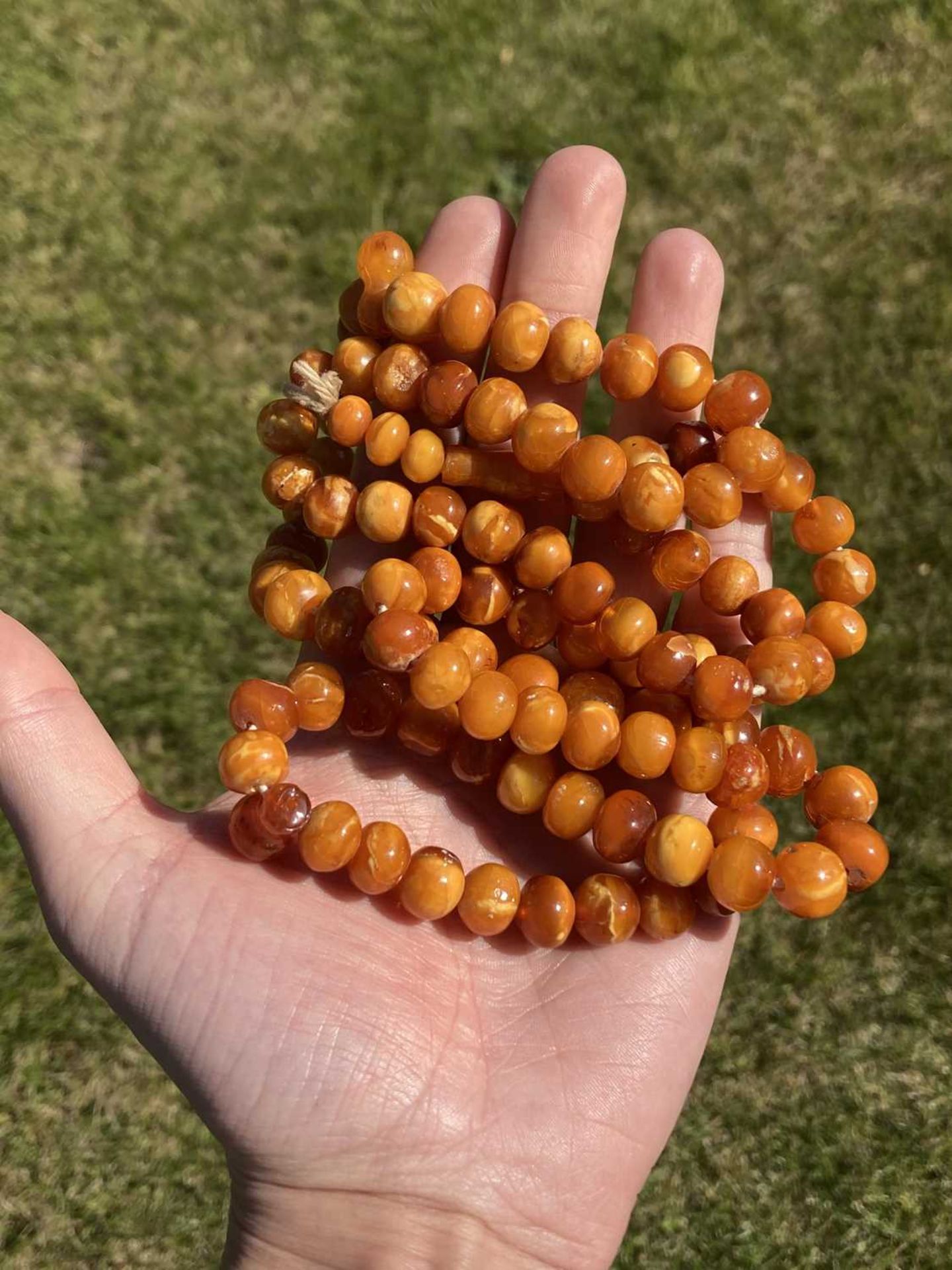 A single row slightly graduated butterscotch amber prayer bead necklace, - Image 11 of 15