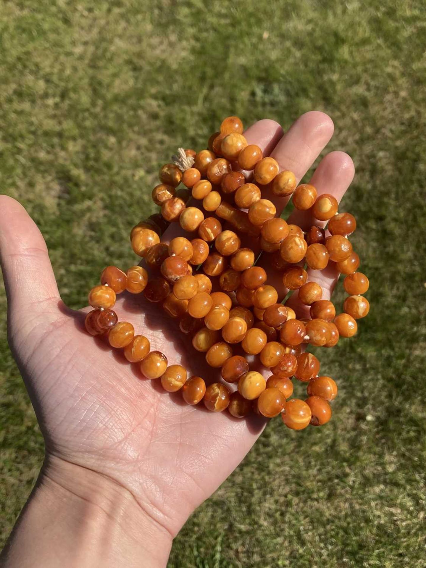 A single row slightly graduated butterscotch amber prayer bead necklace, - Image 12 of 15