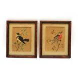 A pair of feather bird pictures