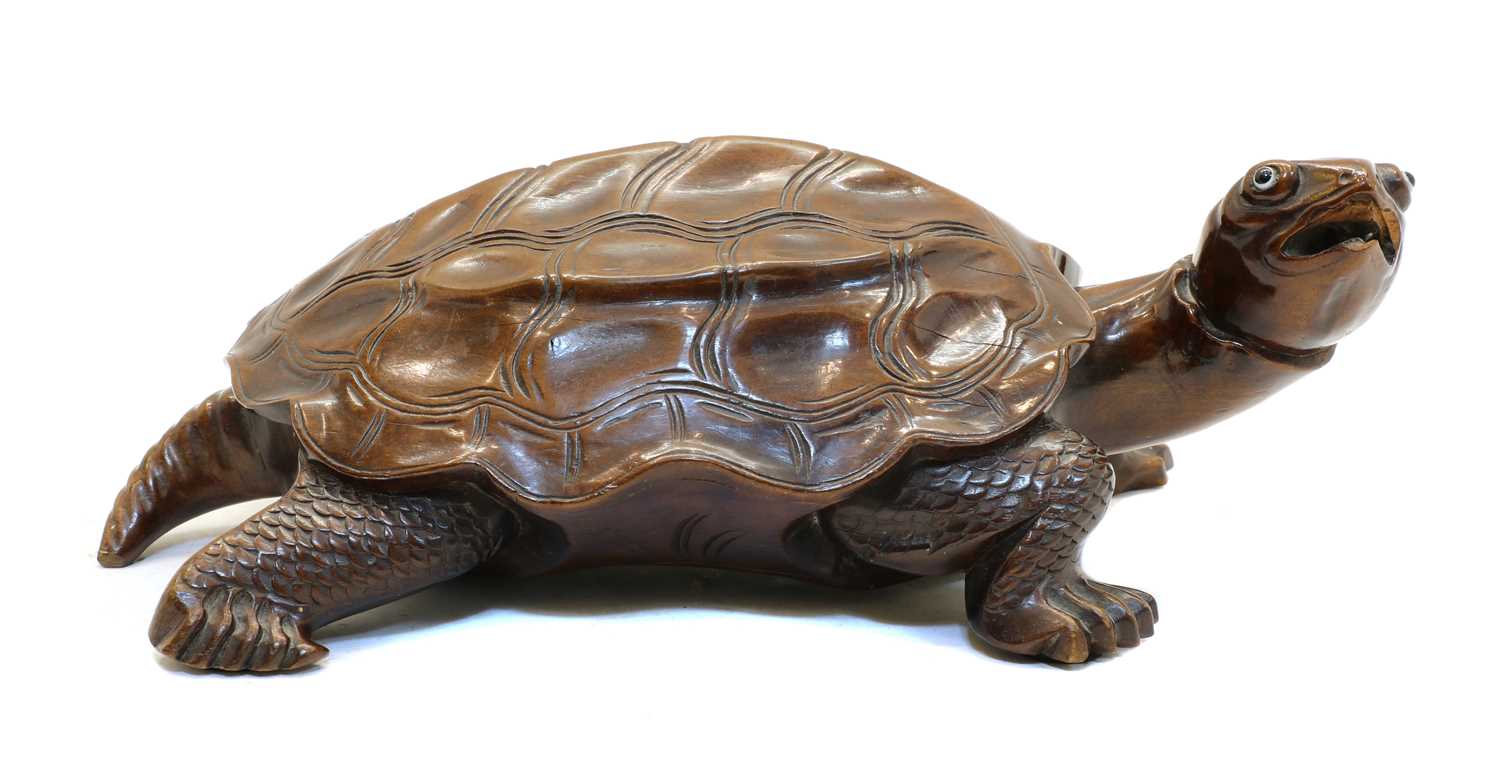 A Chinese wood tortoise,