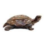 A Chinese wood tortoise,