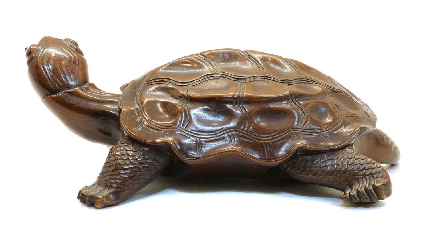 A Chinese wood tortoise, - Image 2 of 14