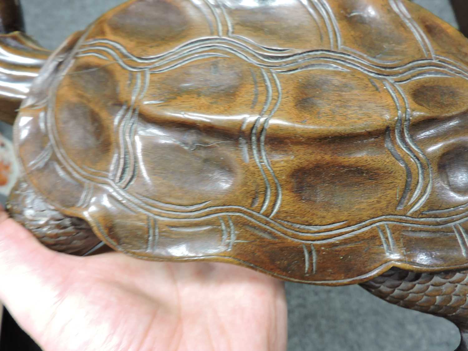 A Chinese wood tortoise, - Image 6 of 14