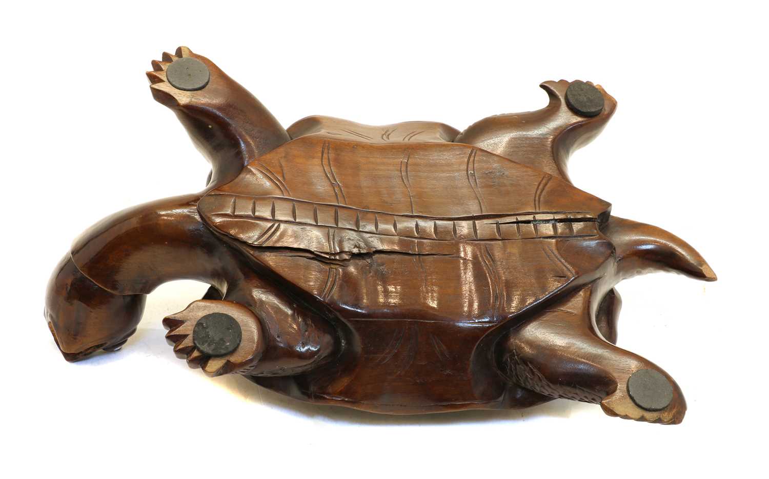 A Chinese wood tortoise, - Image 3 of 14