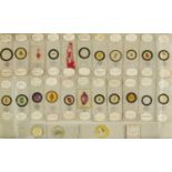 A collection of 112 microscope slides,