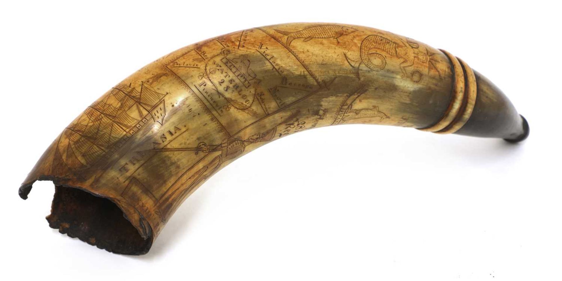 A powder horn, - Bild 4 aus 4