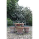 A collection of terracotta garden pots,