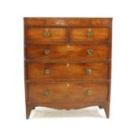 A George IV mahogany tall chest of two short and three long drawers,