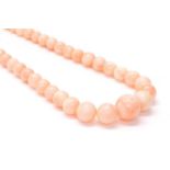 A single row graduated angel skin coral bead necklace,