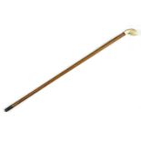 An ivory-handled walking stick,