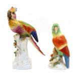 Two Continental porcelain parrots