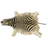 A Zebra skin rug,