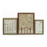A set of three frames of cigarette cards,