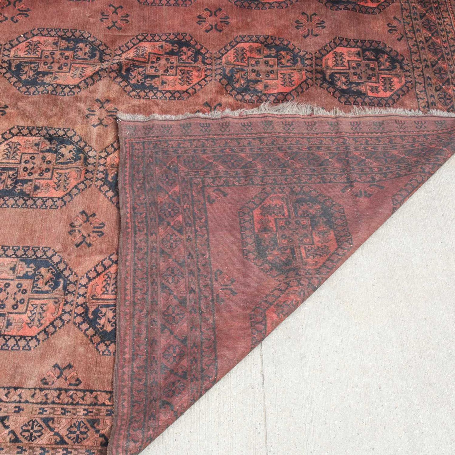 A Tekke Bokhara carpet, - Image 12 of 12