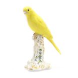 A Royal Worcester porcelain figure of a canary,