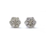 A pair of white gold diamond daisy cluster earrings,