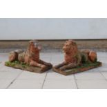 A pair of earthenware garden lions,
