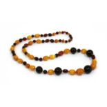 A single row graduated amber and Bakelite bead necklace,