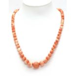 A single row graduated coral bead necklace,