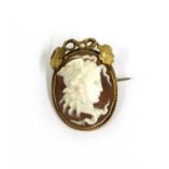 A gold shell cameo brooch,