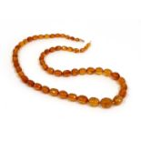 A single row graduated faceted cognac amber bead necklace,