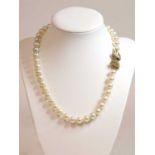 A single row uniform cultured freshwater pearl necklace,