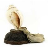 A Chinese ritual conch shell,