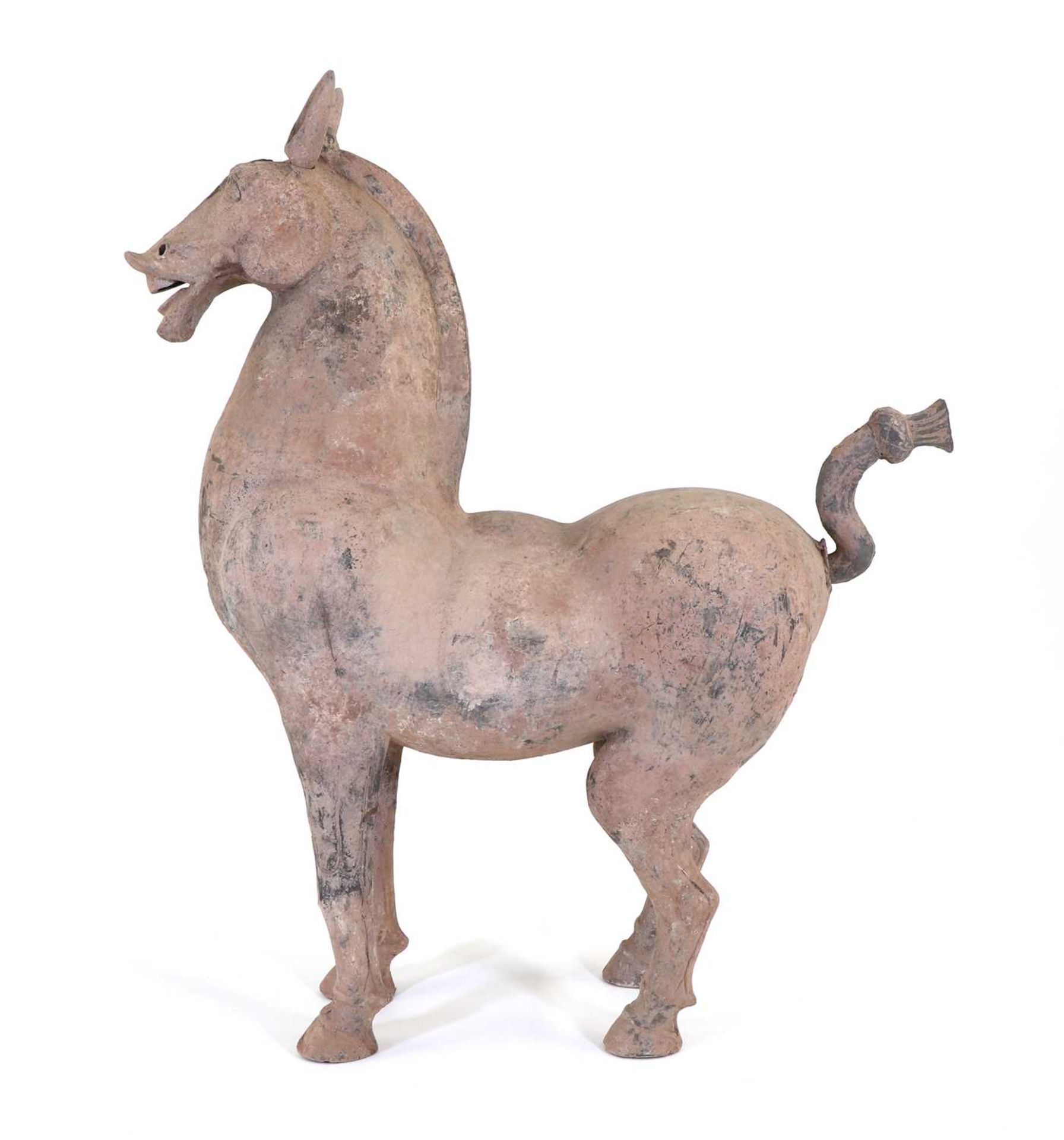 A large Chinese grey pottery horse, - Bild 2 aus 5