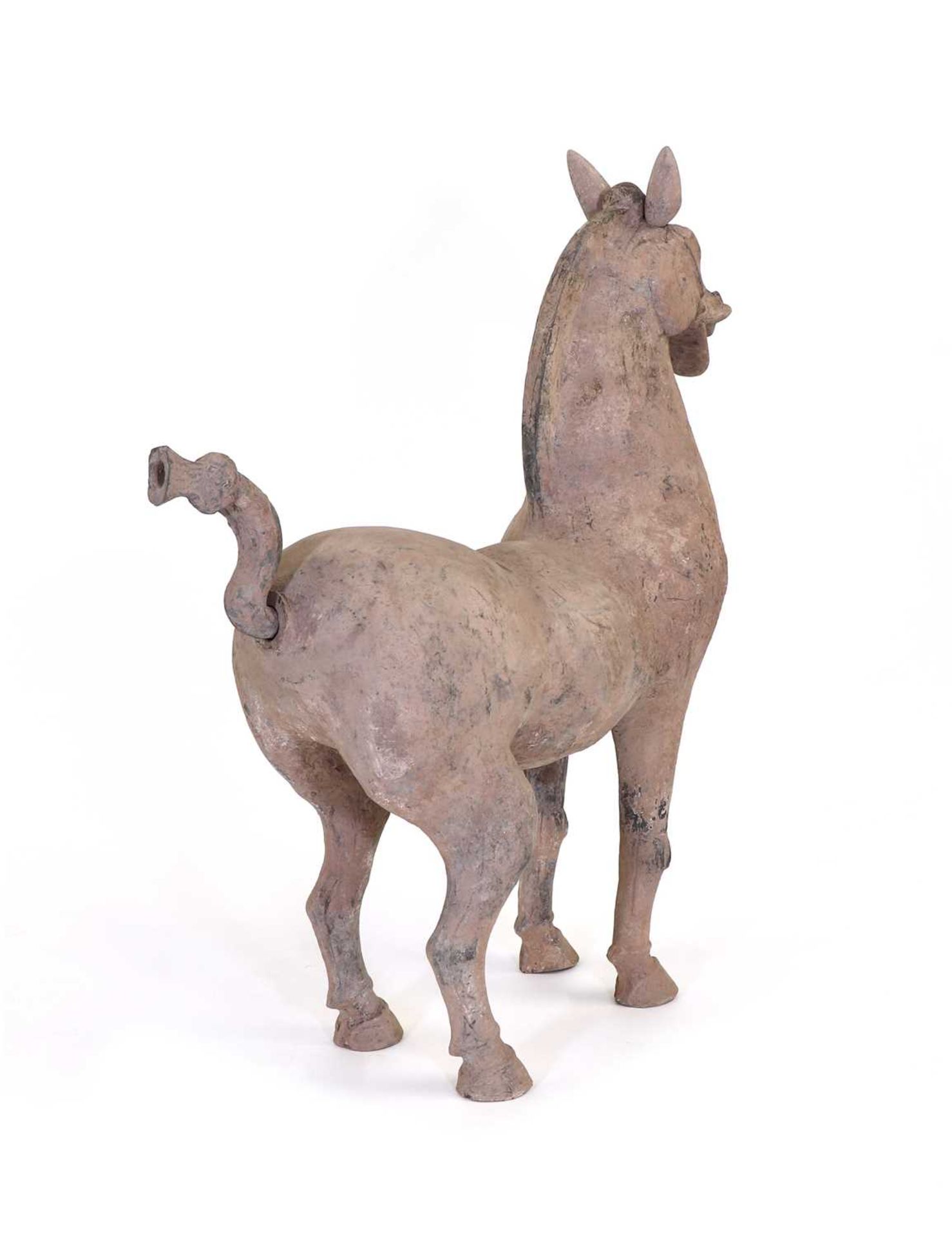 A large Chinese grey pottery horse, - Image 3 of 5