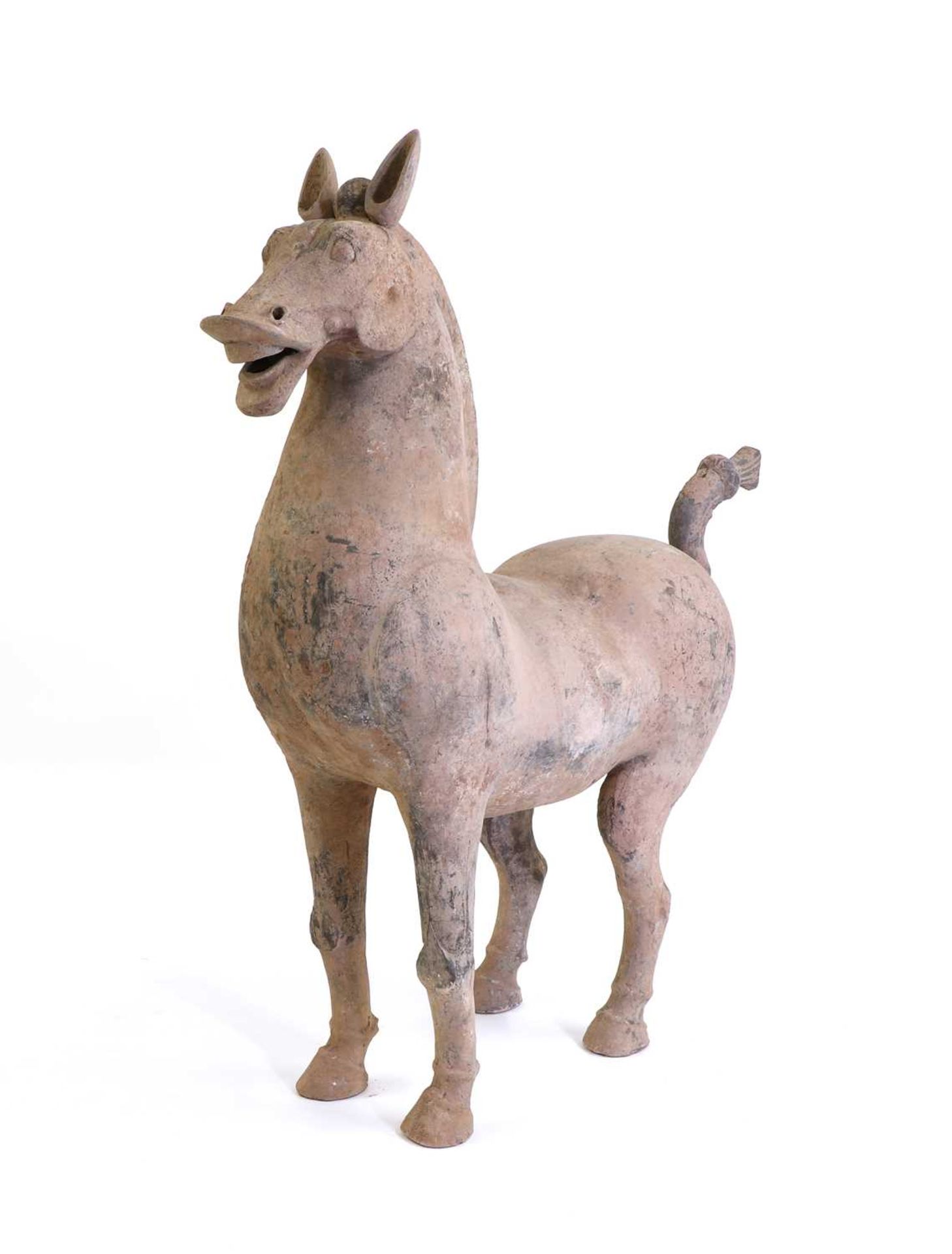 A large Chinese grey pottery horse, - Bild 4 aus 5